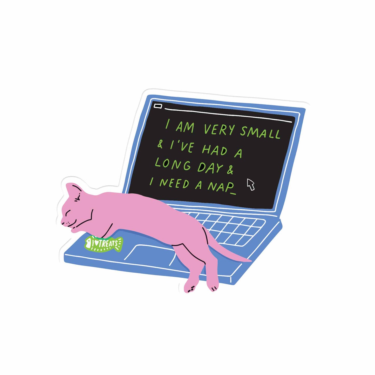Laptop Kitty Clear Vinyl Sticker