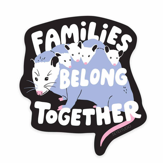 Families Belong Together Opossum Vinyl Sticker