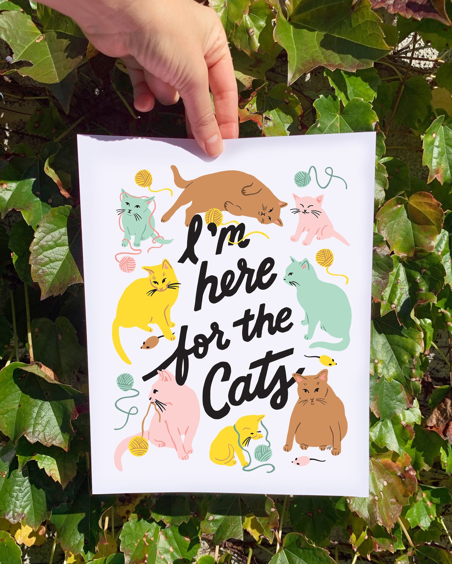 I'm Here for the Cats 8 x 10 Art Print